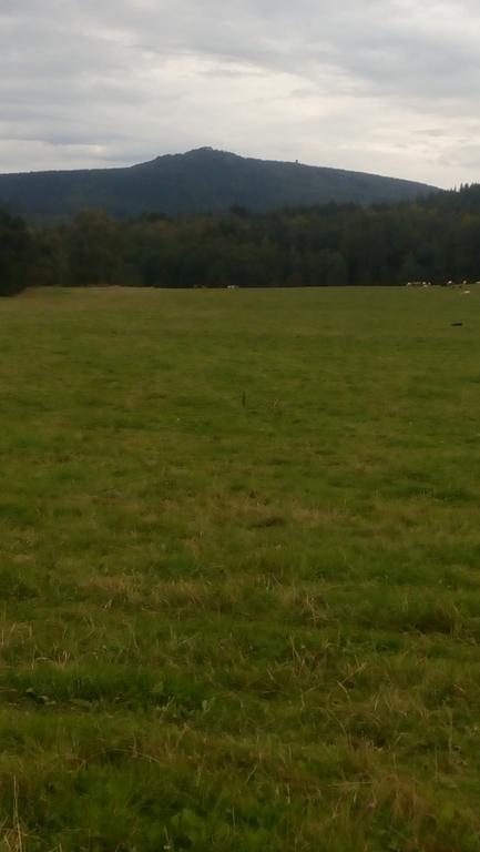 U Tří Koček Jablonne v Podjestedi Exterior foto