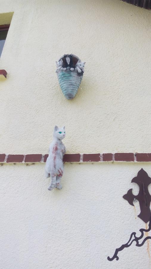 U Tří Koček Jablonne v Podjestedi Exterior foto